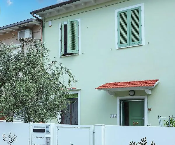 B&B Ulivo Gaio