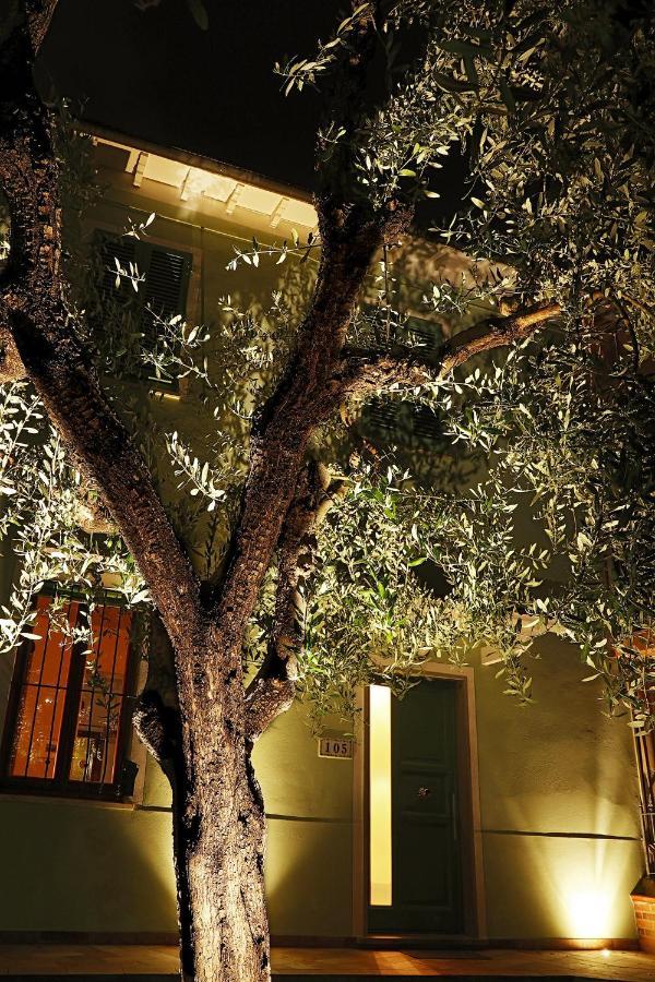 Ulivo Gaio Bed & Breakfast